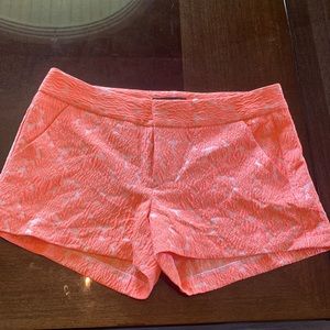 Alex and Alex Shorts